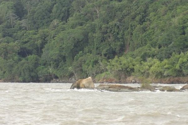 Mer de Guyane (pointe Buzaré)