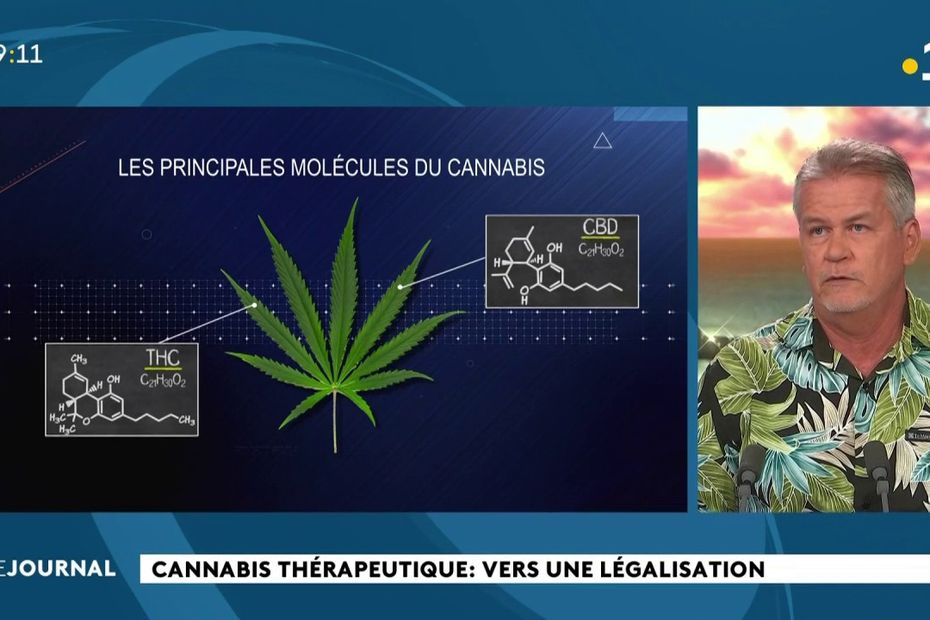 La Loi Sur Le Cannabis Thérapeutique En Route Vers L'Assemblée