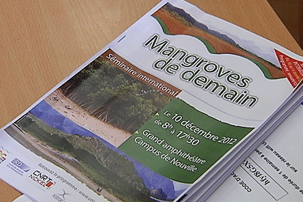 séminaire mangrove