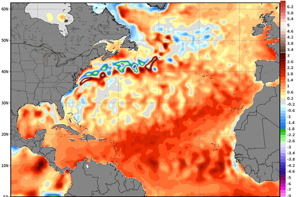 Anomalie de température à la surface de la mer.