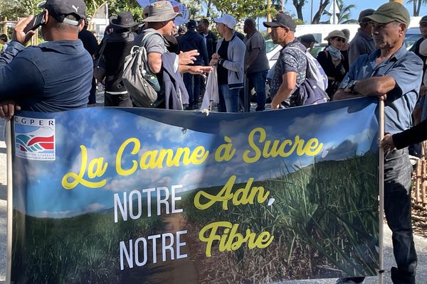 Marche noire des planteurs devant la préfecture agriculture La Réunion canne manifestation
