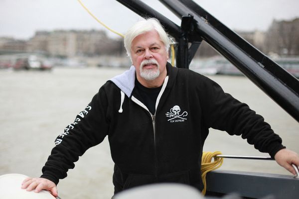 Paul Watson, le 15 janvier 2015.