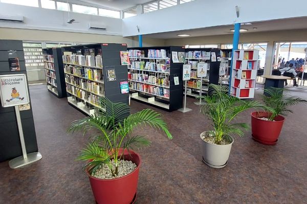 Bibliotheque avec portes - Maison sur Rue du Commerce