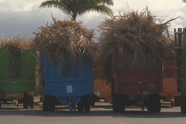 Les remorques de cannes s'accumulent devant l'usine de Bois-Rouge à l'arrêt.