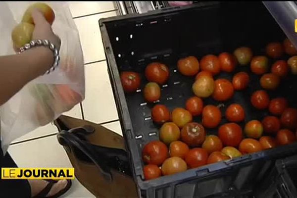 Pénurie de tomates à Tahiti