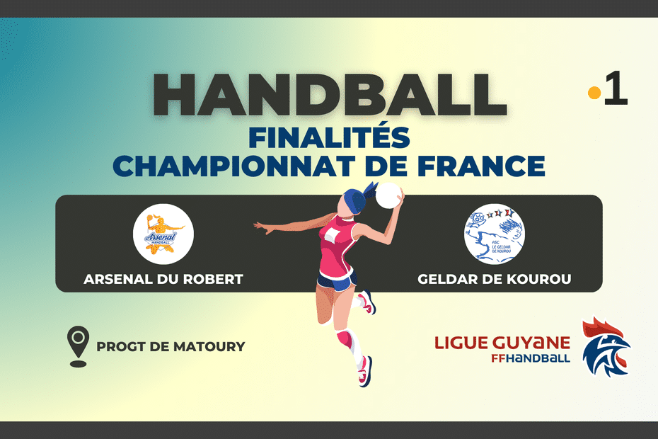 Replay.  Handball: Gerda gamers misplaced to Arsenal du Robert in French Championship remaining.