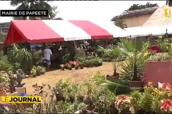 HONNEUR AUX FLEURS : Elles sont dans tous leurs états au festival qui leur est consacré