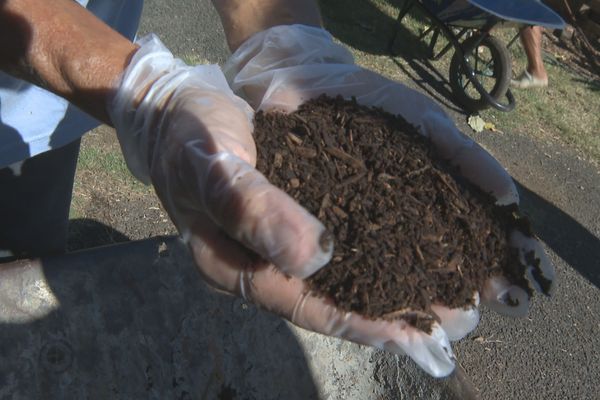 Pour lutter contre le gaspillage et les engrais chimiques, le jardin collectif du Chaudron mise sur le compost