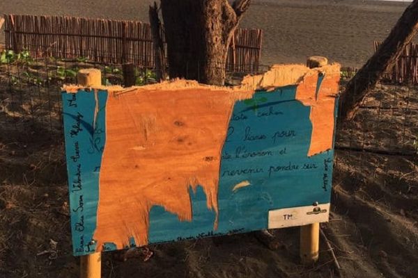 Les panneaux de sensibilisation installés sur la plage de la ravine Mulla il y a deux semaines par des écoliers ont été retrouvés saccagés.