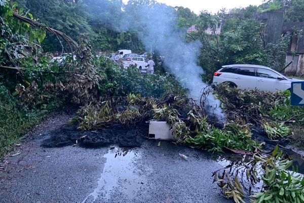 L'un des nombreux barrages sur les routes de Martinique.