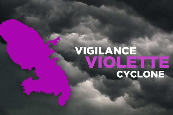 VIGILANCE_vIOLETTE