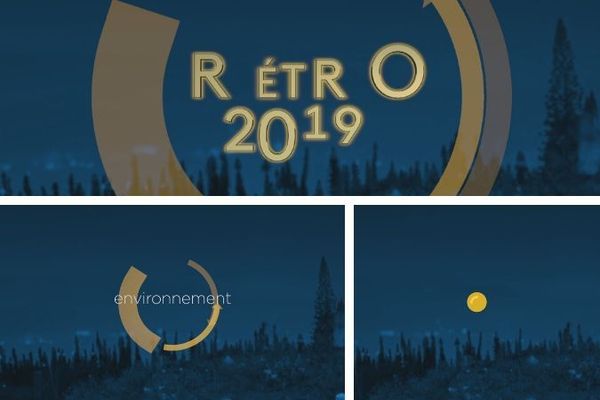 Rétro 2019 : l'environnement