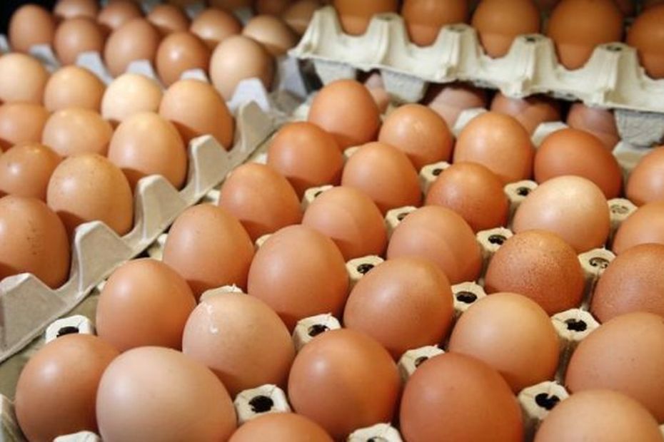 Australia: Bird flu virus strain spreads among egg producers