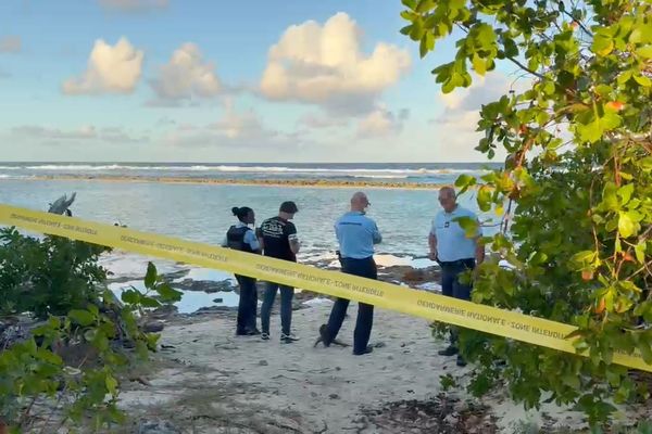 Le corps d'un homme de 74 ans a été découvert sur la plage des Salines, à Saint-François, le 14 janvier 2025