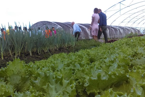 La ferme solidaire de Carrère