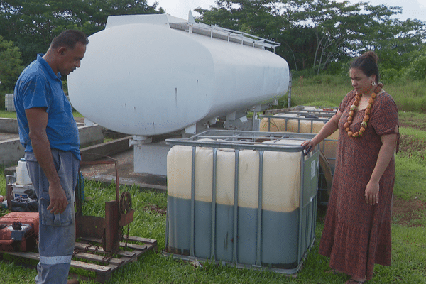Campagne de collecte de batteries et huiles usagées à Wallis et Futuna