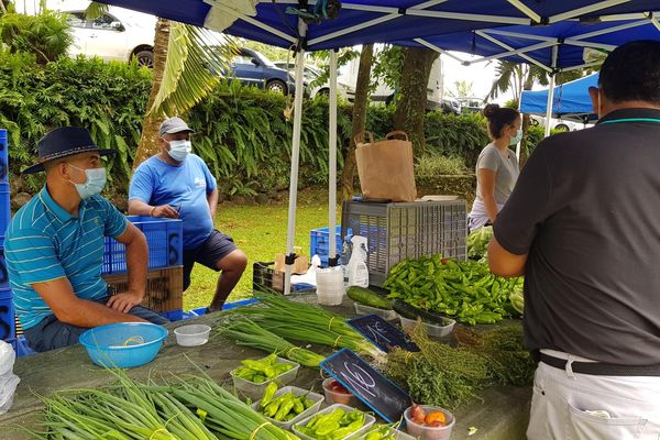 2ème Marché Paysan à Sainte-Anne