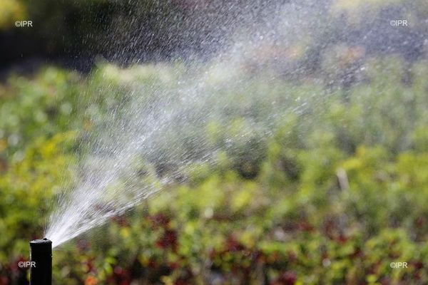 Agriculture manque d'eau dans l'ouest