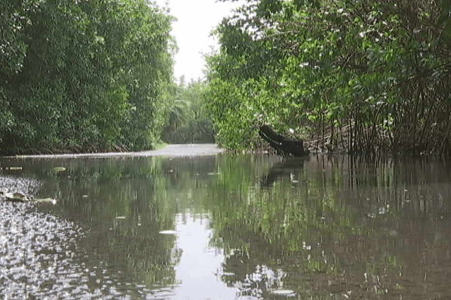 inventory of the Lézar river