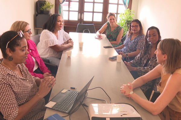 Cecile Tagliana au Lamentin à la rencontre d'une association qui accompagne les femmes dans leur création d'activité.