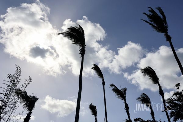 vent meteo alizé