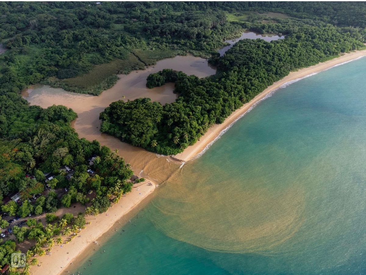 France. Guadeloupe, La Desirade island, Grande Anse (aerial view