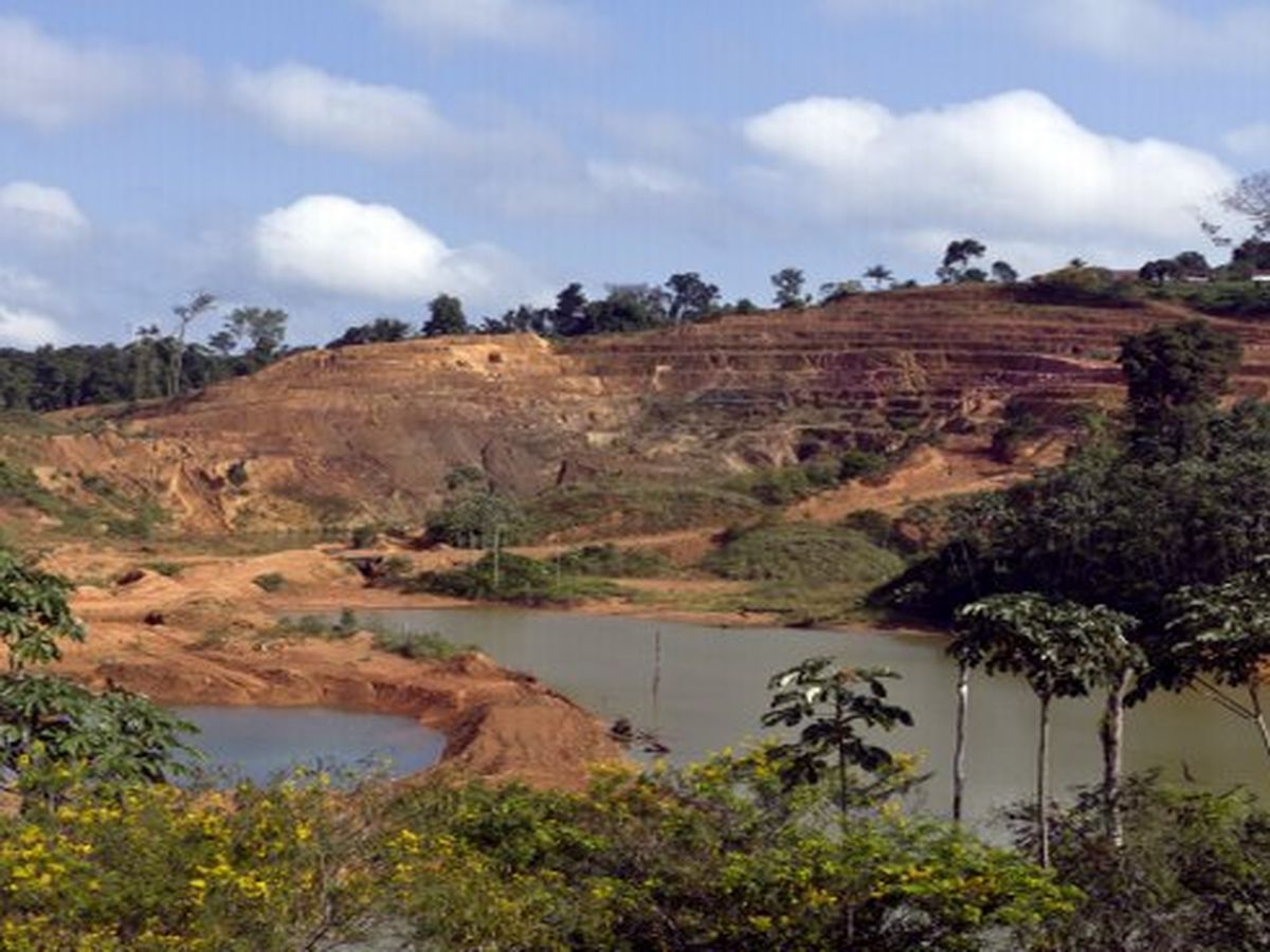 Guyane, une région en danger