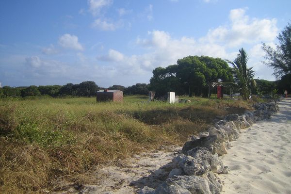 Les abords du camp: une végétation très sèche