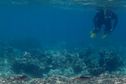 Un croisiériste décède à Saint-Barthélemy, lors d’une excursion snorkeling