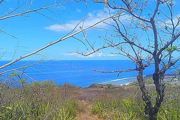 Le ciel est bleu, ce mercredi matin. Il sera plus variable, voire couvert et humide sur l'intérieur, cet après-midi.