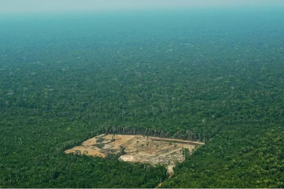 Brazil: Deforestation in the Amazon declining year on year