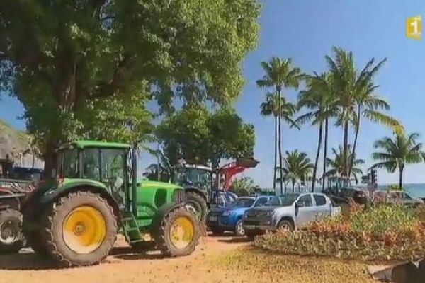 Planteurs devant la préfecture 