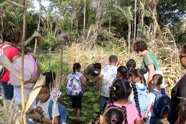 Visite de l'abattis pédagogique d'Awala-Yalimapo