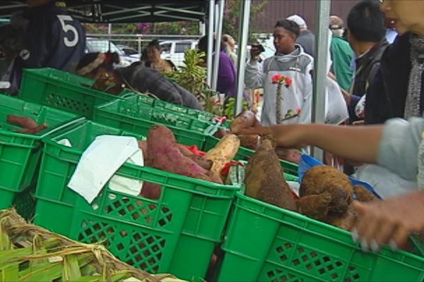 Les patates douces de Lifou à Ducos