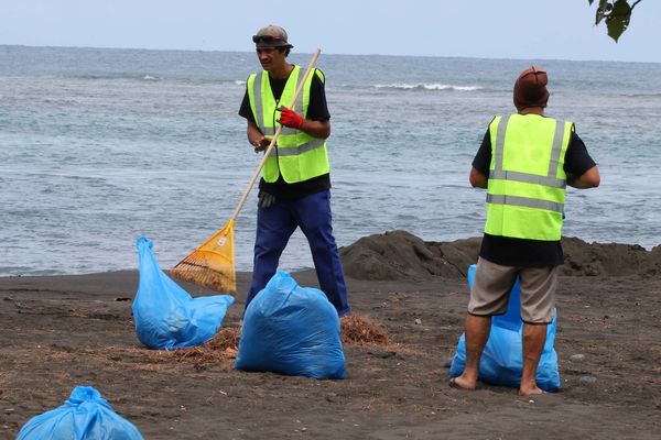 nettoyage des plages