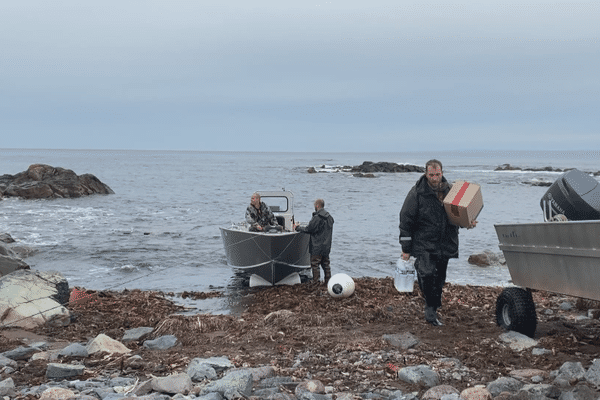 chevreuil chasse belliveau 2022