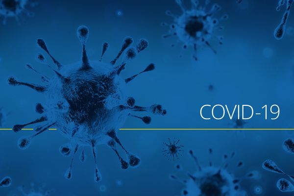 coronavirus