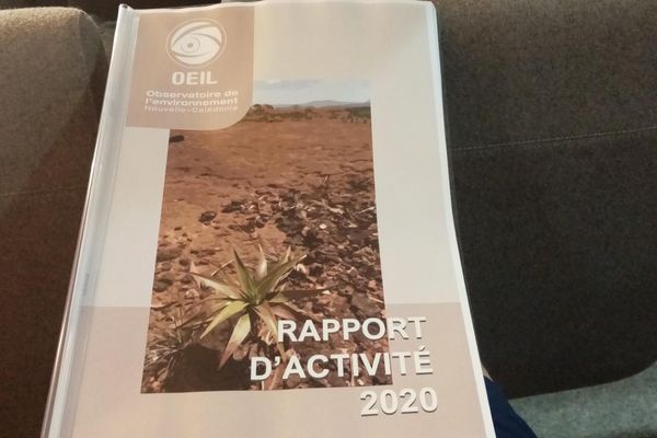 Bilan 2020 Oeil Observatoire de l'environnement