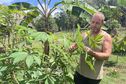 Maladie du manioc en Guyane : un an après le plan de relance, où en sont les agriculteurs de Saint-Georges ?