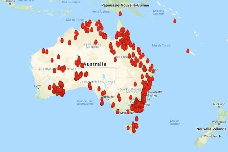 Les Images Apocalyptiques Des Feux En Australie Polynésie