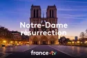 La cathédrale Notre-Dame de Paris, La Résurrection