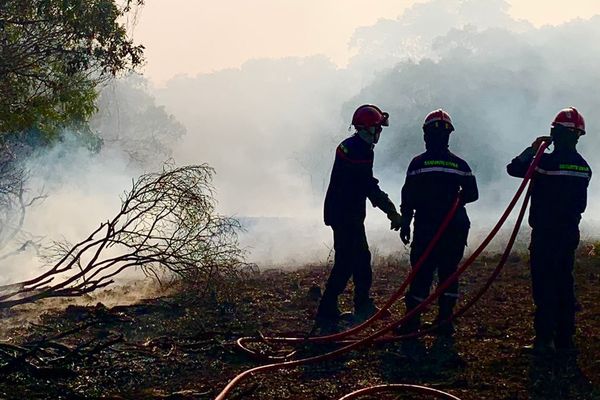 En tout, six pompiers sont intervenus sur ce feu de Tamaon.