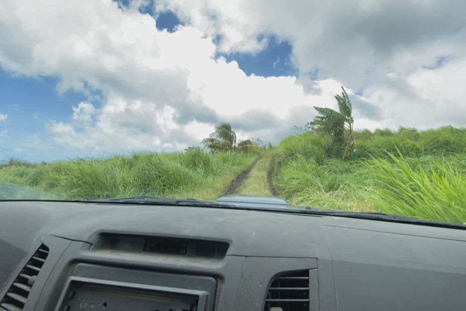 Alternating sunny spells and showers in Martinique, the result of a diet