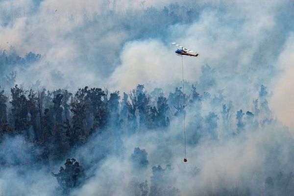 incendie Australie