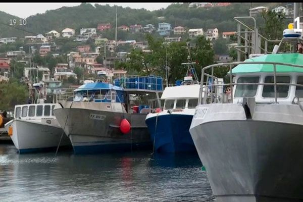 Bateaux de pêches à quai à Fort-de-France