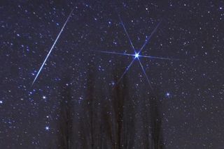 Les Pieds Sur Terre Et La Tête Dans Les étoiles Guadeloupe