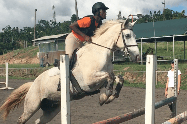 Jeune cavalier Guadeloupéen