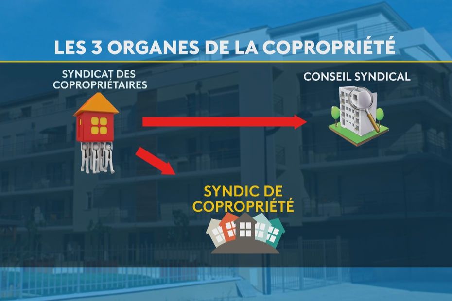 Copropriété Syndicat Des Copropriétaires Syndic De Copropriété