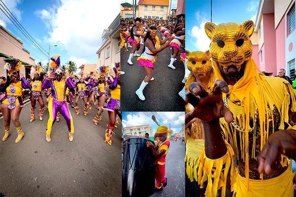 Le "Carnival Soley Sud Show" a emflammé les rues du François ce dimanche 2 février 2025.