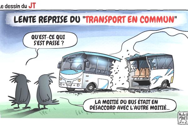 Le dessin de Nicolas Yann Martin